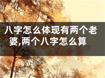 八字怎么体现有两个老婆,两个八字怎么算
