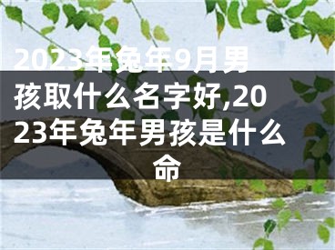 2023年兔年9月男孩取什么名字好,2023年兔年男孩是什么命