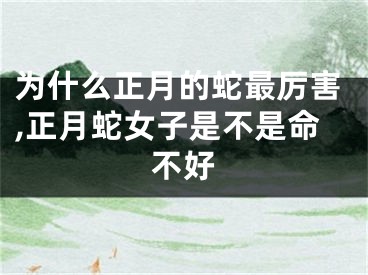 为什么正月的蛇最厉害,正月蛇女子是不是命不好