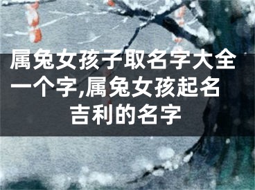 属兔女孩子取名字大全一个字,属兔女孩起名吉利的名字