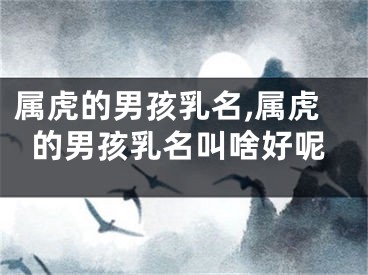 属虎的男孩乳名,属虎的男孩乳名叫啥好呢