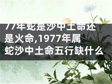 77年蛇是沙中土命还是火命,1977年属蛇沙中土命五行缺什么