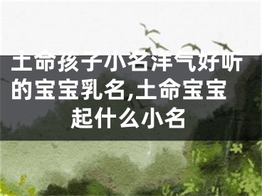 土命孩子小名洋气好听的宝宝乳名,土命宝宝起什么小名