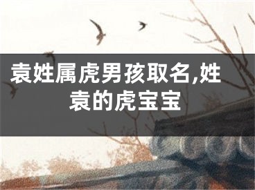 袁姓属虎男孩取名,姓袁的虎宝宝