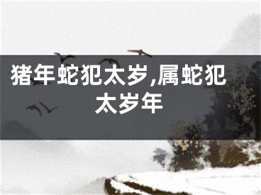猪年蛇犯太岁,属蛇犯太岁年