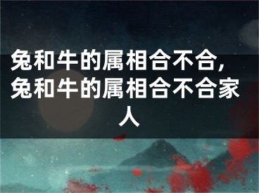 兔和牛的属相合不合,兔和牛的属相合不合家人