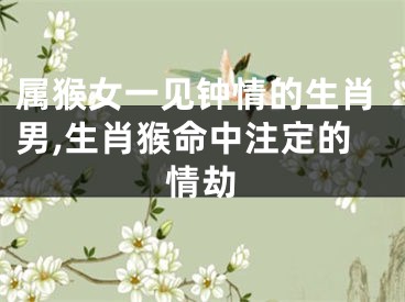 属猴女一见钟情的生肖男,生肖猴命中注定的情劫
