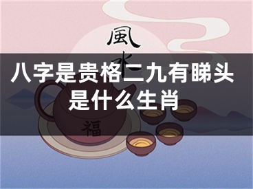 八字是贵格二九有睇头是什么生肖