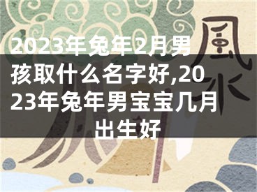 2023年兔年2月男孩取什么名字好,2023年兔年男宝宝几月出生好