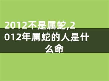 2012不是属蛇,2012年属蛇的人是什么命