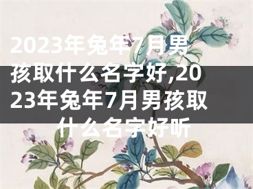 2023年兔年7月男孩取什么名字好,2023年兔年7月男孩取什么名字好听