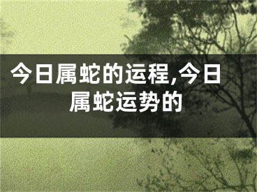 今日属蛇的运程,今日属蛇运势的