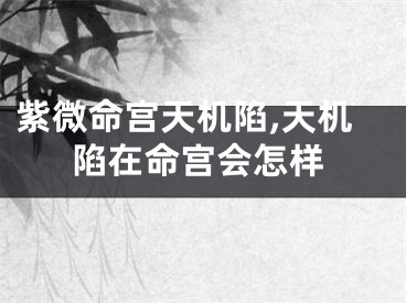 紫微命宫天机陷,天机陷在命宫会怎样