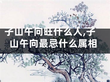 子山午向旺什么人,子山午向最忌什么属相