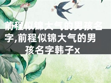 前程似锦大气的男孩名字,前程似锦大气的男孩名字韩子x