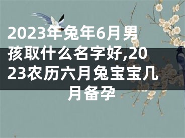 2023年兔年6月男孩取什么名字好,2023农历六月兔宝宝几月备孕