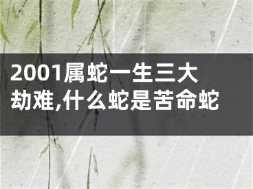 2001属蛇一生三大劫难,什么蛇是苦命蛇