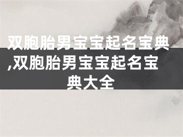 双胞胎男宝宝起名宝典,双胞胎男宝宝起名宝典大全