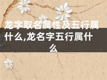 龙字取名属性及五行属什么,龙名字五行属什么