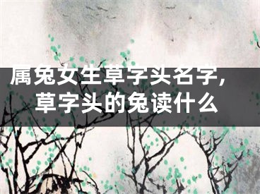 属兔女生草字头名字,草字头的兔读什么