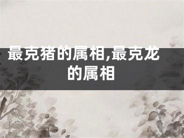 最克猪的属相,最克龙的属相