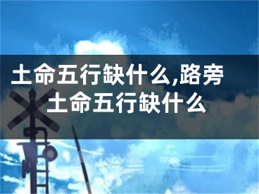 土命五行缺什么,路旁土命五行缺什么