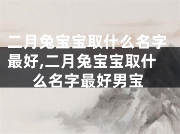 二月兔宝宝取什么名字最好,二月兔宝宝取什么名字最好男宝