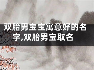 双胎男宝宝寓意好的名字,双胎男宝取名