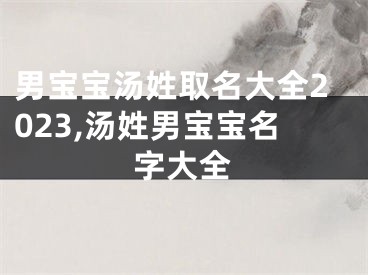 男宝宝汤姓取名大全2023,汤姓男宝宝名字大全