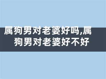 属狗男对老婆好吗,属狗男对老婆好不好