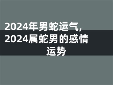 2024年男蛇运气,2024属蛇男的感情运势