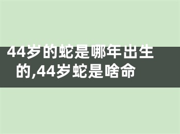44岁的蛇是哪年出生的,44岁蛇是啥命