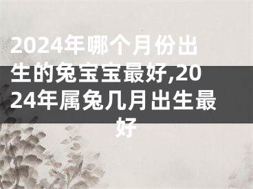 2024年哪个月份出生的兔宝宝最好,2024年属兔几月出生最好