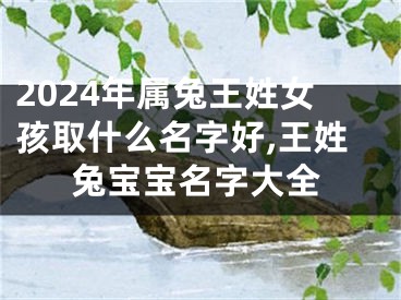 2024年属兔王姓女孩取什么名字好,王姓兔宝宝名字大全