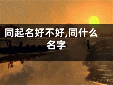 同起名好不好,同什么名字