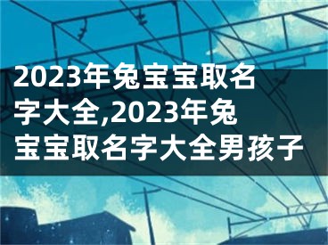 2023年兔宝宝取名字大全,2023年兔宝宝取名字大全男孩子