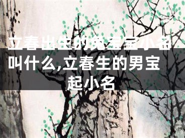 立春出生的兔宝宝小名叫什么,立春生的男宝起小名
