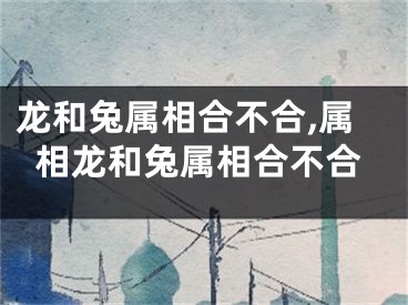 龙和兔属相合不合,属相龙和兔属相合不合