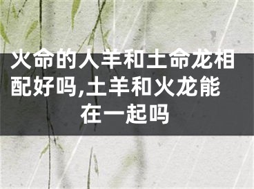 火命的人羊和土命龙相配好吗,土羊和火龙能在一起吗