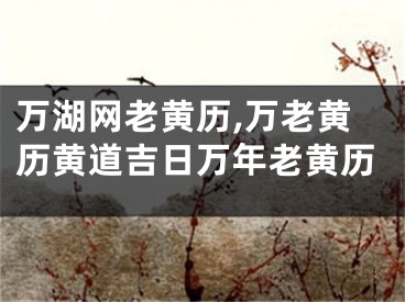 万湖网老黄历,万老黄历黄道吉日万年老黄历