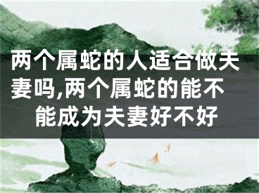 两个属蛇的人适合做夫妻吗,两个属蛇的能不能成为夫妻好不好
