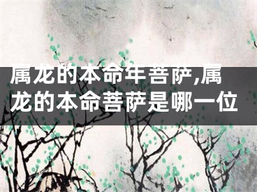 属龙的本命年菩萨,属龙的本命菩萨是哪一位