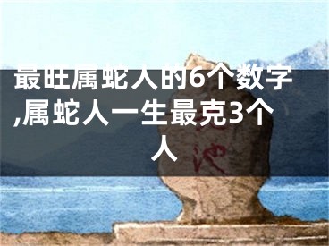 最旺属蛇人的6个数字,属蛇人一生最克3个人