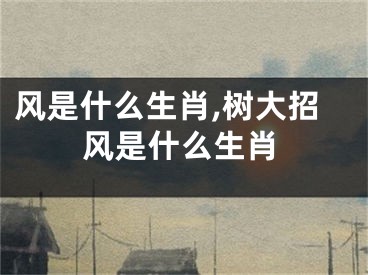 风是什么生肖,树大招风是什么生肖