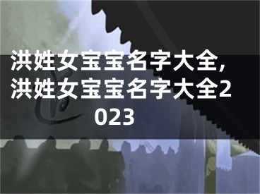 洪姓女宝宝名字大全,洪姓女宝宝名字大全2023
