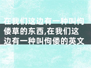 在我们这边有一种叫佝偻草的东西,在我们这边有一种叫佝偻的英文