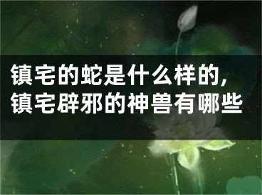 镇宅的蛇是什么样的,镇宅辟邪的神兽有哪些