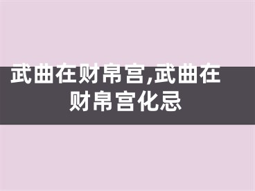 武曲在财帛宫,武曲在财帛宫化忌