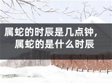 属蛇的时辰是几点钟,属蛇的是什么时辰