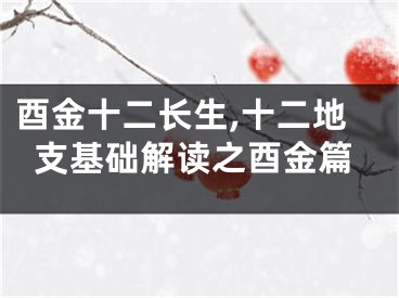 酉金十二长生,十二地支基础解读之酉金篇